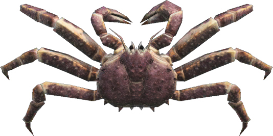 red king crab