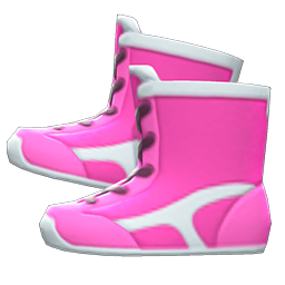 Main image of Wrestling shoes