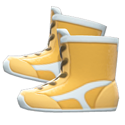 Main image of Wrestling shoes