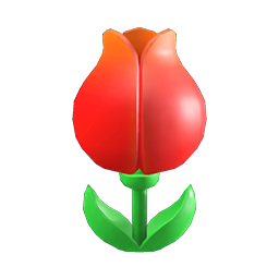 tulip surprise box