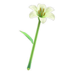lily wand