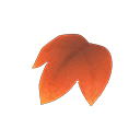 Secondary image of Maple leaf