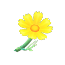 Animal Crossing New Horizons Yellow Cosmos Image