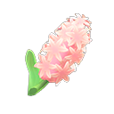 Secondary image of Pink hyacinths