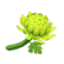 Animal Crossing New Horizons Green Mums Image