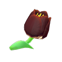 Secondary image of Black tulips