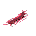 Main image of Toy centipede