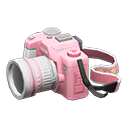 Main image of SLR camera