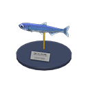 Main image of Anchovy model
