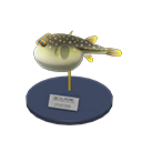 blowfish_model
