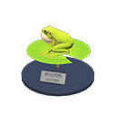 개구리 모형