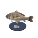 鲤鱼模型