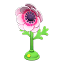 windflower fan [Pink] (Pink/Green)