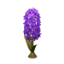 Image of Hyacinth lamp