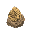 Image of Ammonite