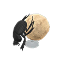dung beetle model