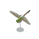 darner_dragonfly_model