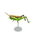 메뚜기 모형