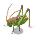 Animal Crossing New Horizons Grasshopper Model Image