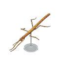 긴수염대벌레 모형