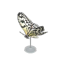 大白斑蝶模型
