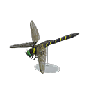 grand_b._dragonfly_model