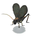Animal Crossing New Horizons Bell Cricket Model Image
