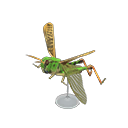 migratory_locust_model