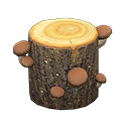 Main image of Mush log