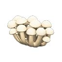 Image of variation 白色蘑菇