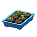potted starter plants [Blue] (Blue/Brown)