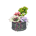 Animal Crossing New Horizons Succulent Plant Image