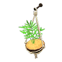 Image of Coconut wall planter