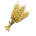 Secondary image of Wheat