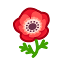Image of Anemone rosso