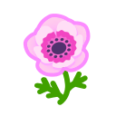 Image of Anemone rosa