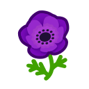 Image of Purple windflowers