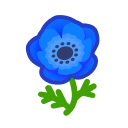 Image of Blue windflowers