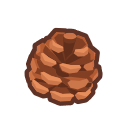Image of Pine cone