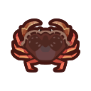 Dungeness_crab