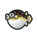Image of Blowfish
