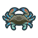 gazami crab