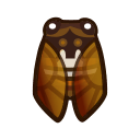 Image of Brown cicada