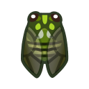 robust cicada