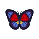 Image of Agrias butterfly