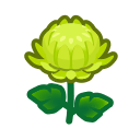 crisantemo_verde