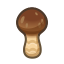 Main image of Elegant mushroom