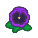 Image of Purple pansies