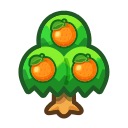 Main image of Orange tree