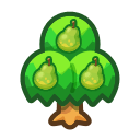 Main image of Pear tree
